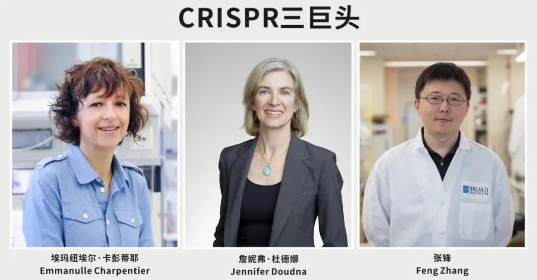 中國科學家張峰專利勝訴諾貝爾化學獎得主，看基因編輯的專利布局