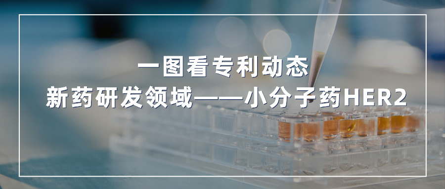 一圖看發(fā)明專利動態(tài) | 新藥研發(fā)領域——小分子藥HER2